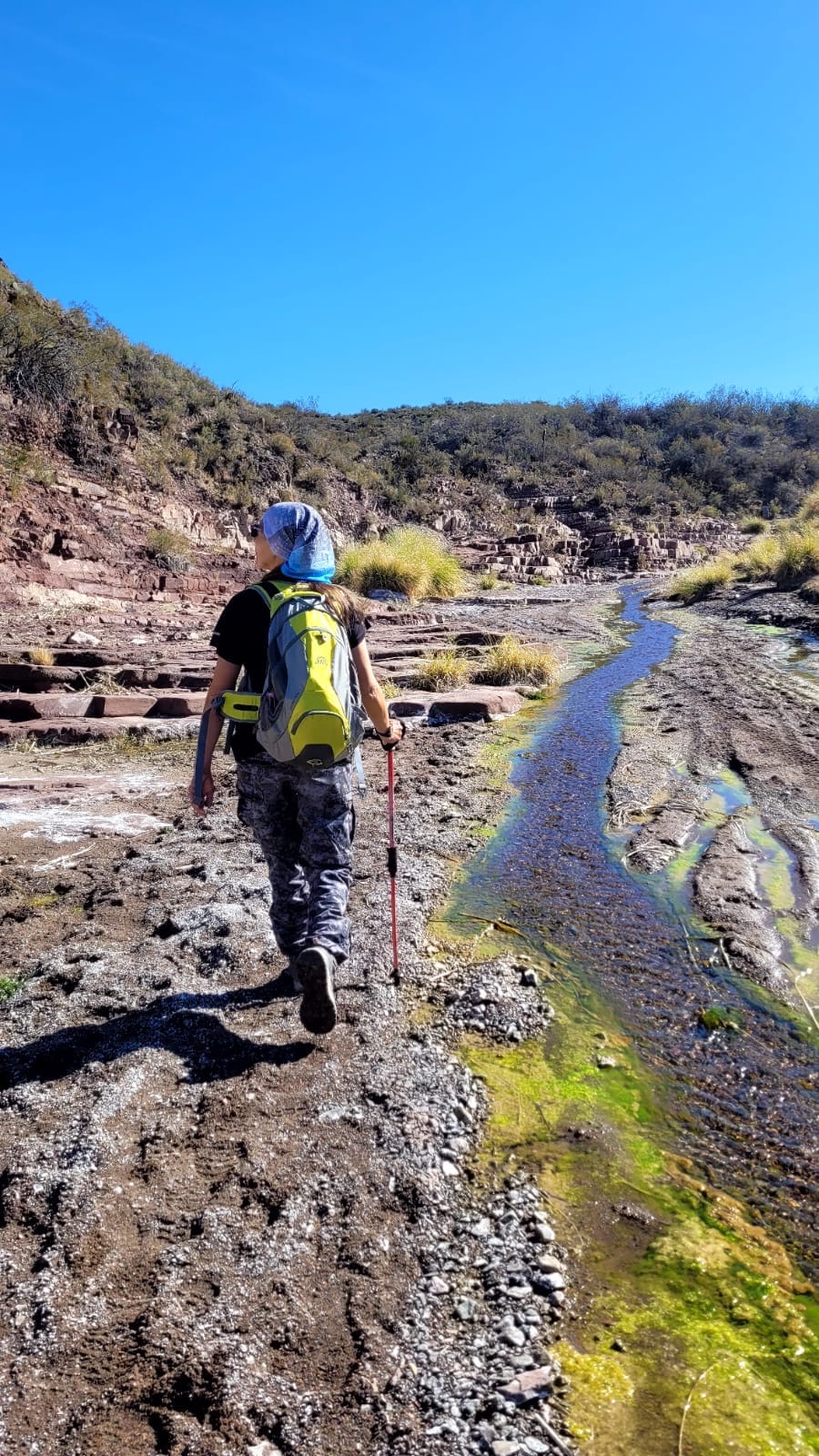 Excursiones Personalizadas